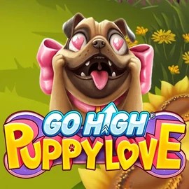 Try Go High Puppy Love slot by RubyPlay on qbetcasino.eu – logo image