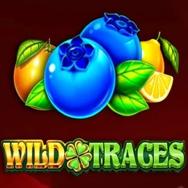 Enjoy Wild Traces by Amusnet Interactive – logo hosted on qbetcasino.eu